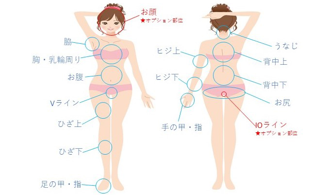 脱毛できる部位