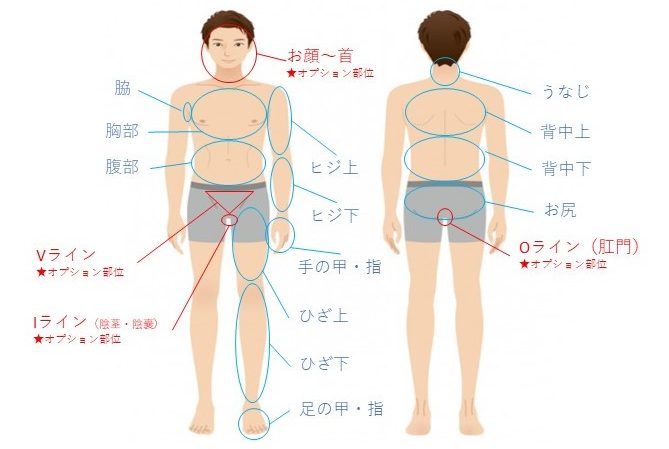 脱毛できる部位