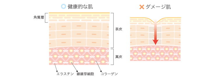 正常なお肌とは？