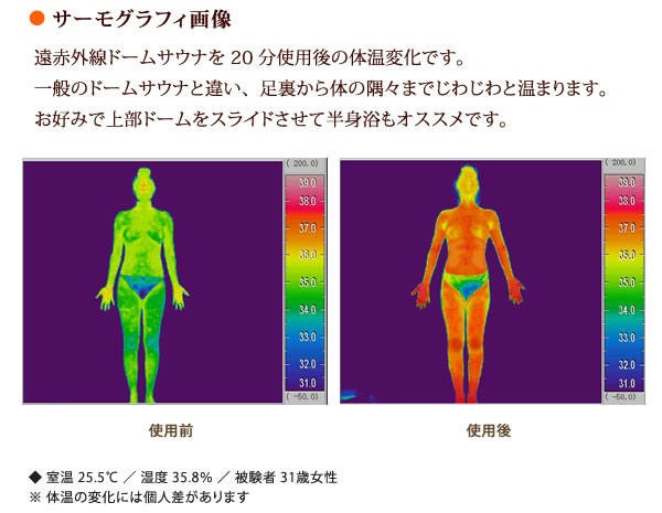 dsauna_thermo